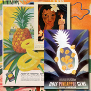 pineapples in print